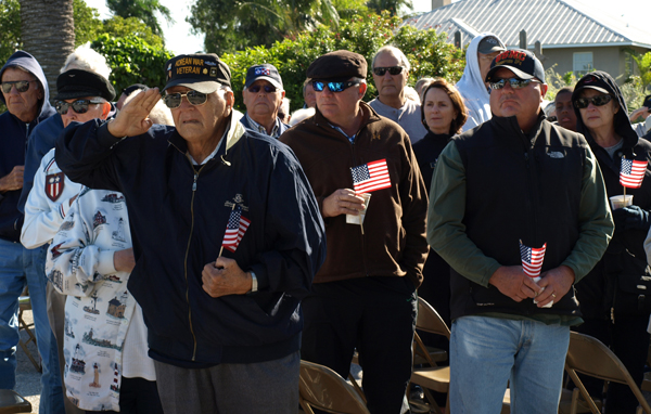 vets salute salute 11-16 ln