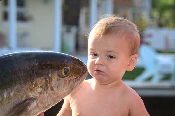 top-notch-hm-fish