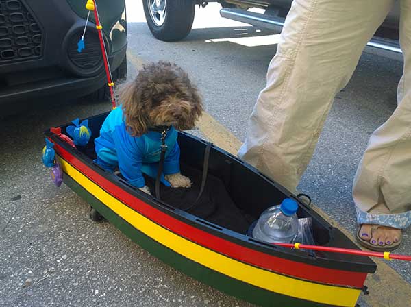 dogoween-boat-jg-110514