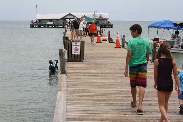 am-pier-survey-diver-080514-tr