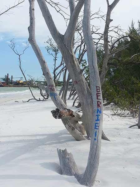 lbk-tree-vandalism-041316