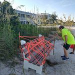 Beach benches frustrate turtle watchers