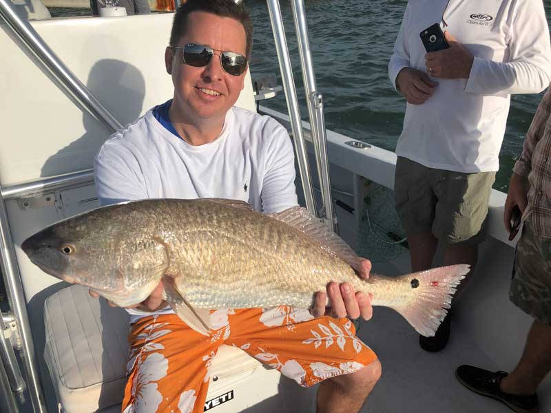 thumb image