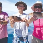 Live, artificial baits work for linesider hookups