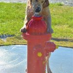 New park open for pups, peeps
