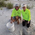 1st nest of 2020 sea turtle season spotted in Anna Maria