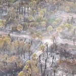 Wildfire burns 30 acres at Egmont Key