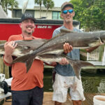 Summer demands anglers beat the heat, fish early for hookups
