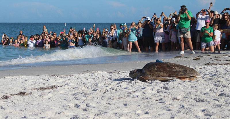 thumb image