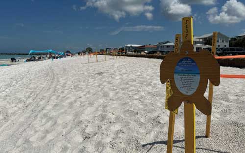 Cities respond to rough start for hatch season - The Anna Maria Islander