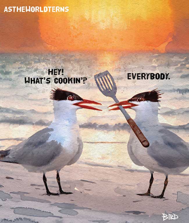 thumb image